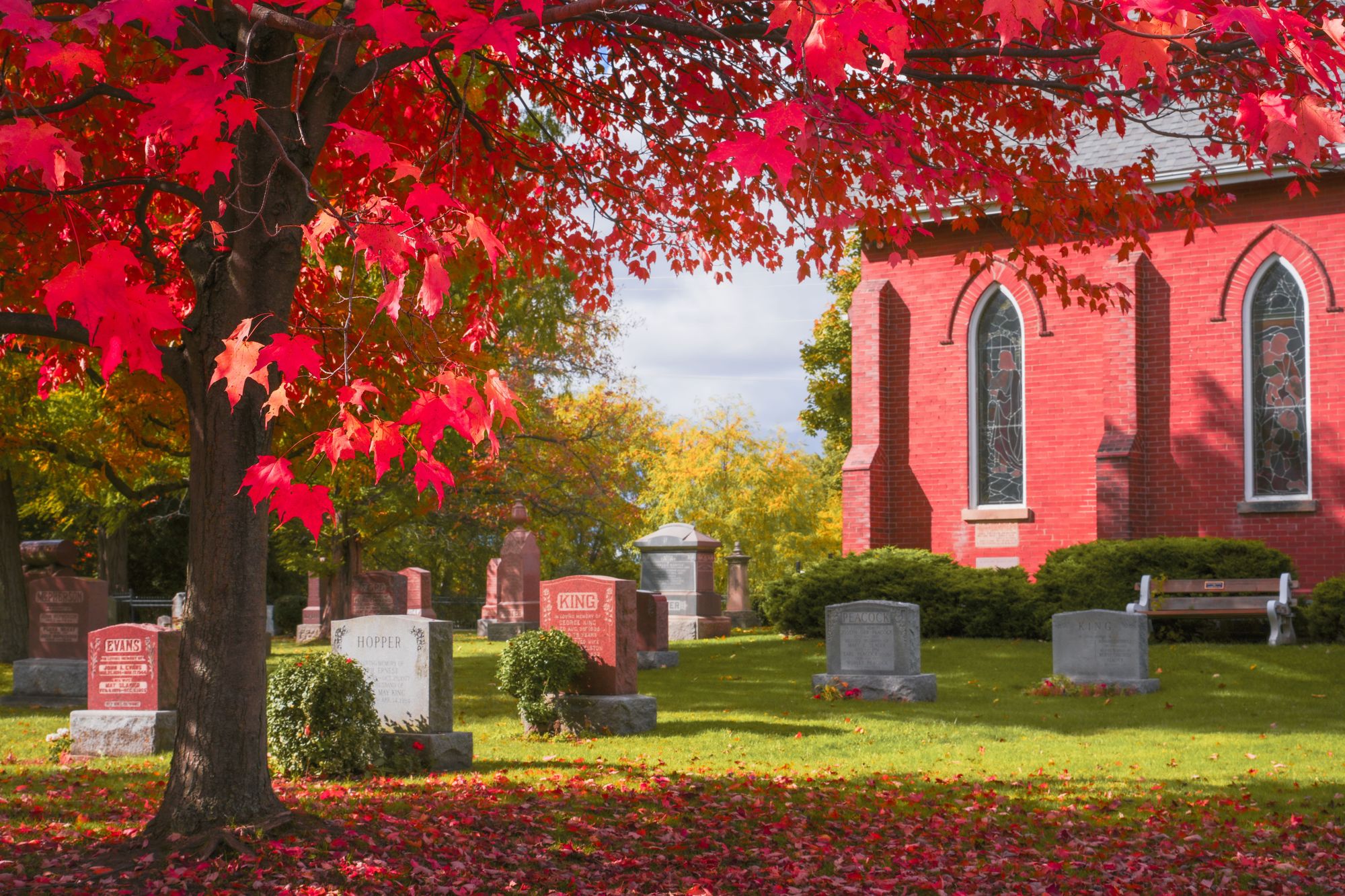 Red maple in full autumn colour leaning over a churchyard beside a red-brick church.